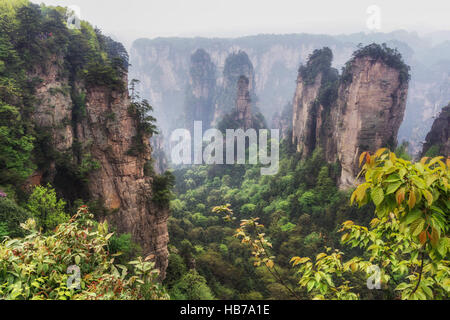 hohe Berggipfel von yuanjiajie Stockfoto