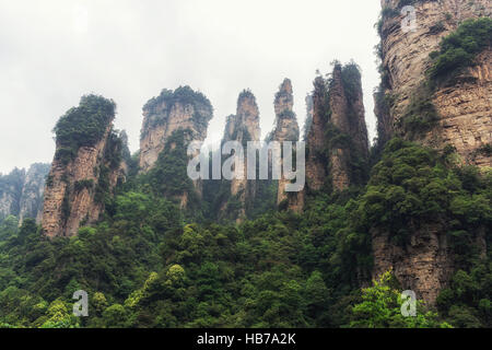 hohe Berggipfel von yuanjiajie Stockfoto