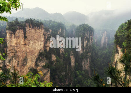 hohe Berggipfel von yuanjiajie Stockfoto