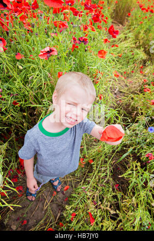 Süsser Boy im Feld mit roten Mohnblumen Stockfoto