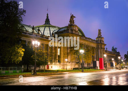 Das Grand Palais des Champs-Elysees in Paris, Frankreich in der Nacht Stockfoto