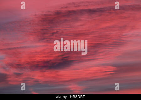 Rosa lila farbigen bewölktem Himmel nach Sonnenuntergang, Allgäu, Bayern, Deutschland Stockfoto