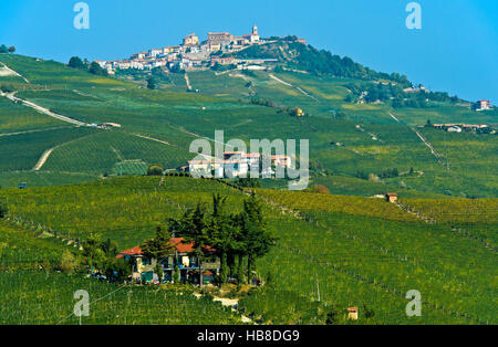 Blick auf Weinberge in La Morra, Barolo, Piemont, Italien Stockfoto