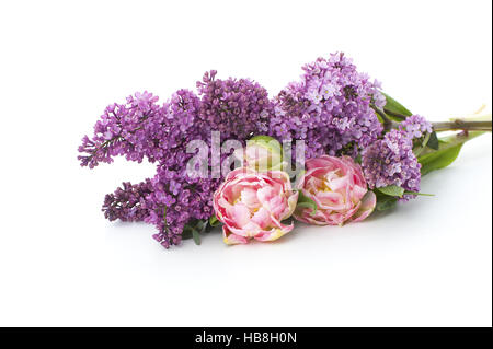 Duft von Flieder und Tulpen auf dem Tisch. Stockfoto