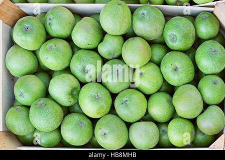 Grüne Äpfel Stockfoto