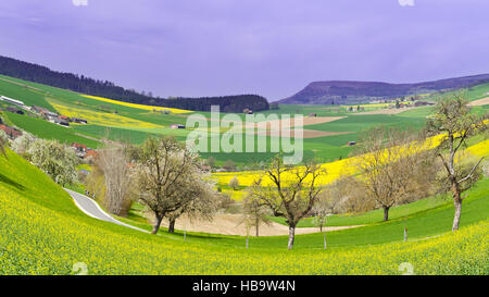 Straße zwischen Feldern Stockfoto