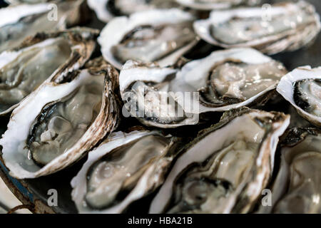 Frische Austern zum Verkauf auf Markt in Hainan in China Stockfoto