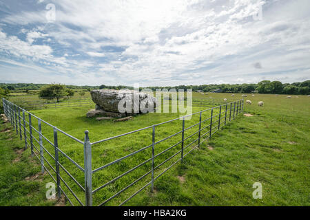 Siambr Gladdu Lligwy oder Lligwy Begräbnis-Kammer am Ende der Jungsteinzeit auf Anglesey Wales vor 5000 Jahren errichtet Stockfoto