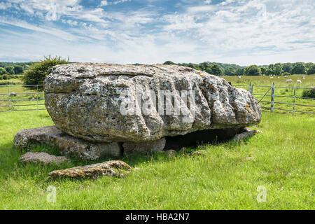 Siambr Gladdu Lligwy oder Lligwy Begräbnis-Kammer am Ende der Jungsteinzeit auf Anglesey Wales vor 5000 Jahren errichtet Stockfoto