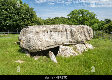 Siambr Gladdu Lligwy oder Lligwy Begräbnis-Kammer am Ende der Jungsteinzeit auf Anglesey Wales vor 5000 Jahren errichtet Stockfoto