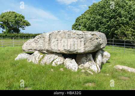 Siambr Gladdu Lligwy oder Lligwy Begräbnis-Kammer am Ende der Jungsteinzeit auf Anglesey Wales vor 5000 Jahren errichtet Stockfoto