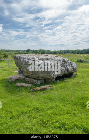 Siambr Gladdu Lligwy oder Lligwy Begräbnis-Kammer am Ende der Jungsteinzeit auf Anglesey Wales vor 5000 Jahren errichtet Stockfoto