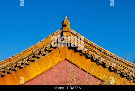Detail eines Daches in der verbotenen Stadt Peking China Stockfoto