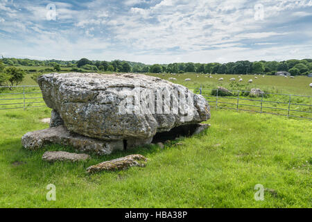 Siambr Gladdu Lligwy oder Lligwy Begräbnis-Kammer am Ende der Jungsteinzeit auf Anglesey Wales vor 5000 Jahren errichtet Stockfoto