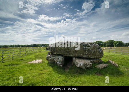 Siambr Gladdu Lligwy oder Lligwy Begräbnis-Kammer am Ende der Jungsteinzeit auf Anglesey Wales vor 5000 Jahren errichtet Stockfoto