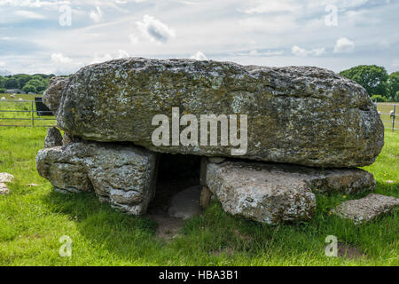 Siambr Gladdu Lligwy oder Lligwy Begräbnis-Kammer am Ende der Jungsteinzeit auf Anglesey Wales vor 5000 Jahren errichtet Stockfoto