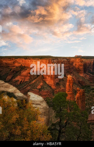 Das Leuchten des herbstlichen Sonnenuntergang über Arizonas Canyon de Chelly National Monument mit dem Sandstein-Turm der Spider Rock. Stockfoto