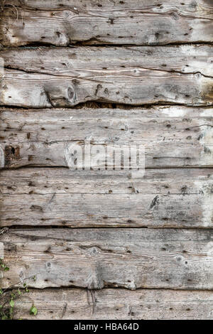 Alten verfallenen Holztür Stockfoto