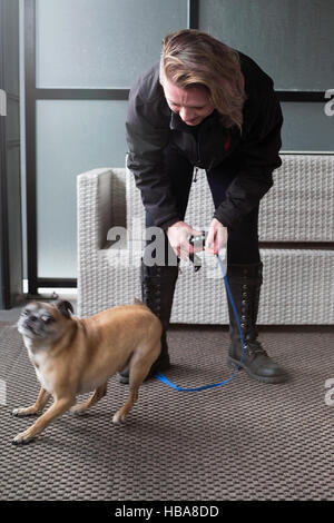 Dog verließ sich darauf, sich auf einen Spaziergang vorzubereiten, Bugg Dog (Kreuzung zwischen Boston Terrier und Pug) und eine Frau mit Leine Stockfoto