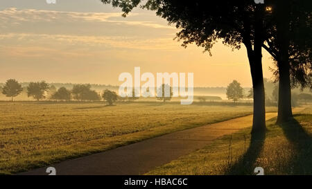 Feldweg Im Morgennebel - Morgennebel in einer rular Gegend, kleine Straße Stockfoto