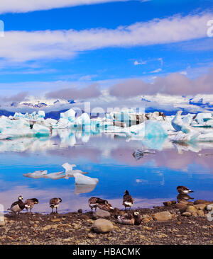 Die Gletscherlagune Jökulsárlón in Island Stockfoto