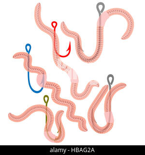Tierische Erde rot Würmer zum Angeln isoliert Stockfoto