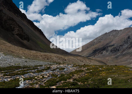 Strom fließt durch Wiesen in Ladakh Landschaft, Indien, Asien Stockfoto