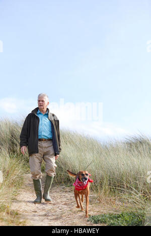 Mann zu Fuß Hund auf Sanddünen, Konstantin Bay, Cornwall, UK Stockfoto
