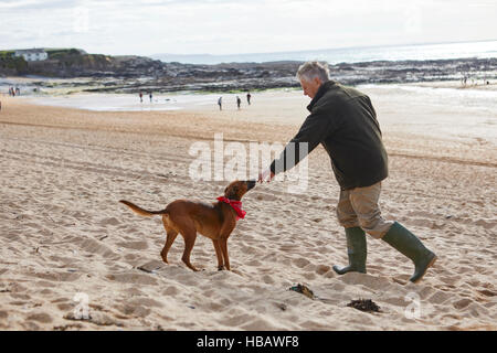 Mensch und Hund am Strand, Konstantin Bay, Cornwall, UK Stockfoto