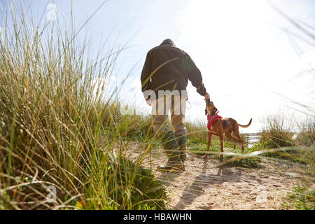 Mann zu Fuß Hund auf Sanddünen, Konstantin Bay, Cornwall, UK Stockfoto