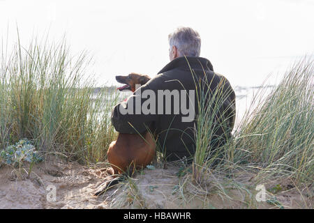 Rückansicht von Mensch und Hund sitzt auf Sanddünen, Konstantin Bay, Cornwall, UK Stockfoto