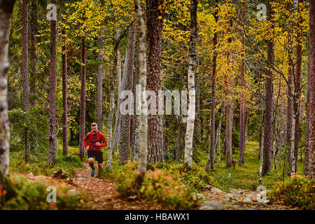 Mann läuft in Wald, Kesankitunturi, Lappland, Finnland Stockfoto