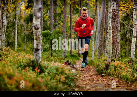 Mann läuft in Wald, Kesankitunturi, Lappland, Finnland Stockfoto