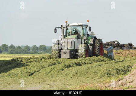 Silage mit einem großen Traktor Stockfoto