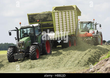 Silage mit zwei Traktoren Stockfoto