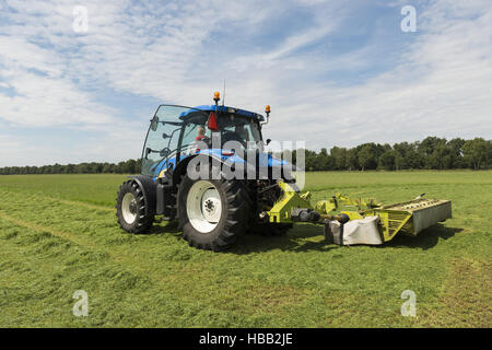 Weide Mähen mit blauen Traktor und Mähwerk Stockfoto