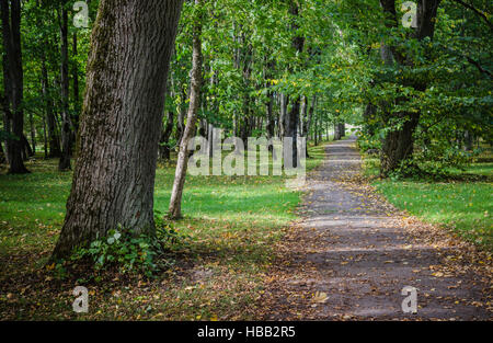 Gasse im alten Park im Herbst, Herbst-Landschaft Stockfoto