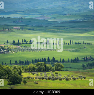 typisch toskanische Landschaft Stockfoto