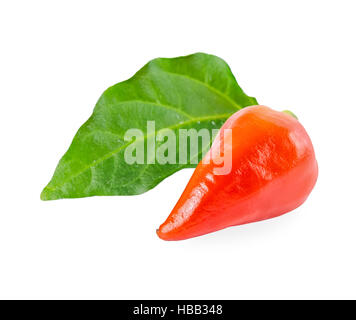 kleine orange Paprika Capsicum Gemeng mit grünen Blatt auf weißem Hintergrund isoliert ist hautnah Stockfoto