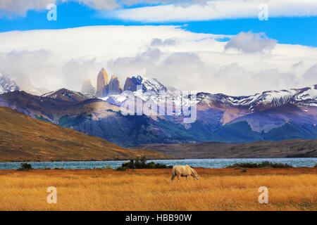 Nationalpark Torres del Paine, Chile Stockfoto