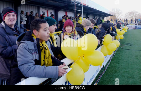 Fans bei Sutton United Football Club Stockfoto