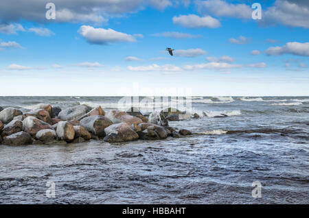 Meereswellen an den Felsen brechen Seestück Stockfoto