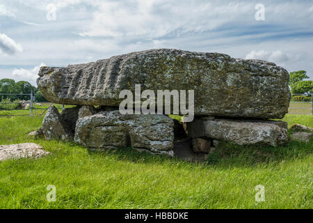 Siambr Gladdu Lligwy oder Lligwy Begräbnis-Kammer am Ende der Jungsteinzeit auf Anglesey Wales vor 5000 Jahren errichtet Stockfoto