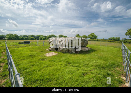 Siambr Gladdu Lligwy oder Lligwy Begräbnis-Kammer am Ende der Jungsteinzeit auf Anglesey Wales vor 5000 Jahren errichtet Stockfoto