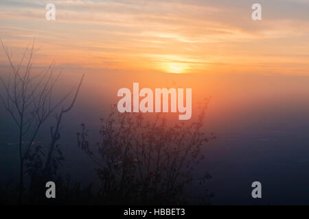 Bäume mit Sonnenaufgang in den Bergen im Winter. Stockfoto