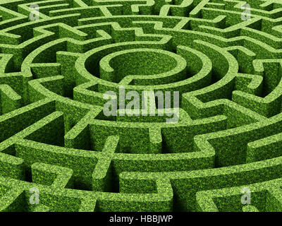 Runde Garten Labyrinth mit grünen Büschen als Wände. 3D illustration Stockfoto