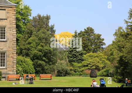 Royal Botanic Garden Edinburgh Stockfoto