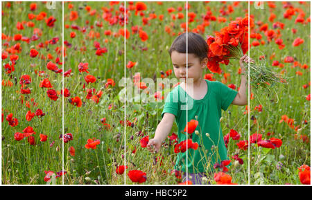 Rahmen eines Fotos mit niedlichen Kind Mädchen im Mohnfeld zu trennen Stockfoto