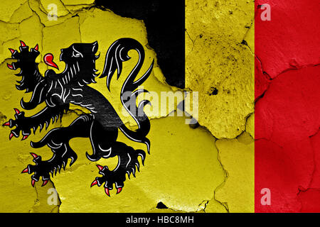 Flaggen von Flandern und Belgien auf rissige Wand gemalt Stockfoto