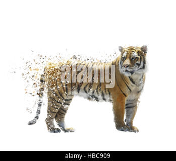 Tiger-Aquarell Stockfoto